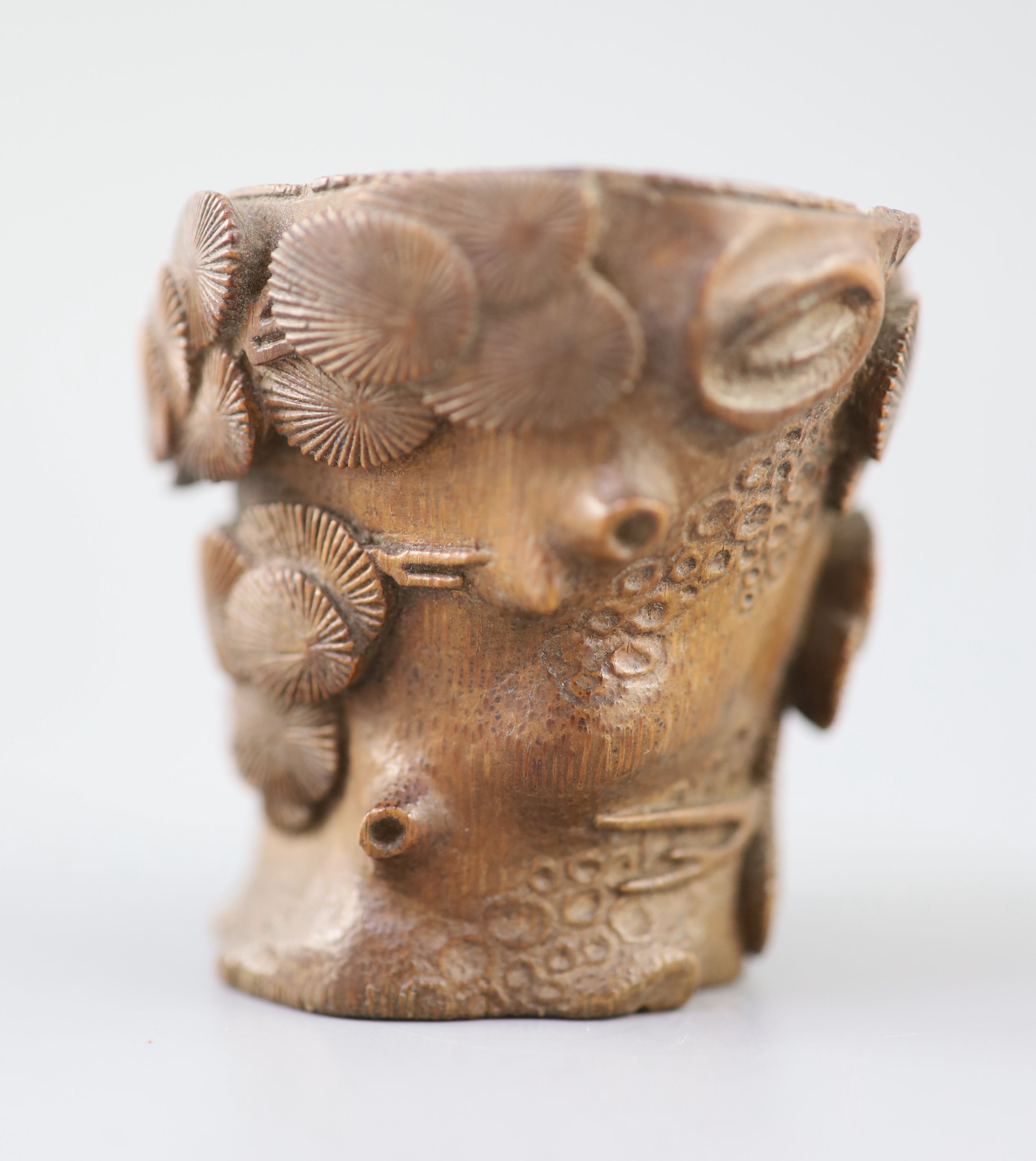 A Chinese bamboo root pine libation cup, 17th/18th century,